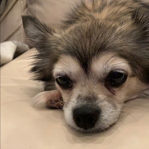 Meet your Posher, Gregg